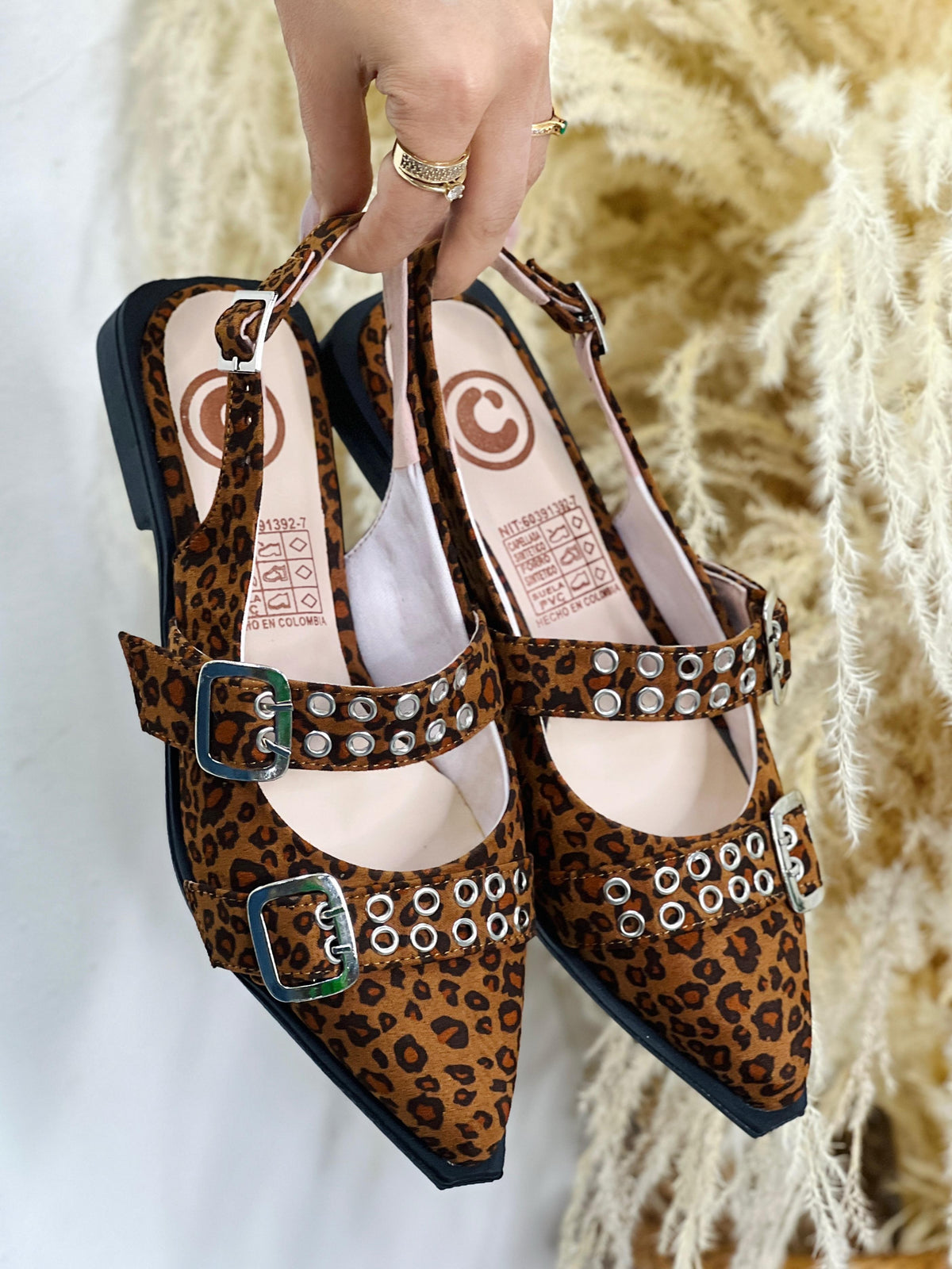 Baleta Bailarinas GLAM!
